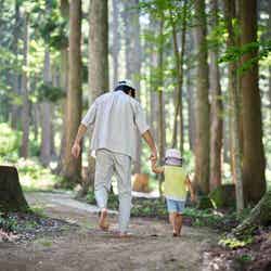 森のはだし道※宿泊者専用(提供画像)