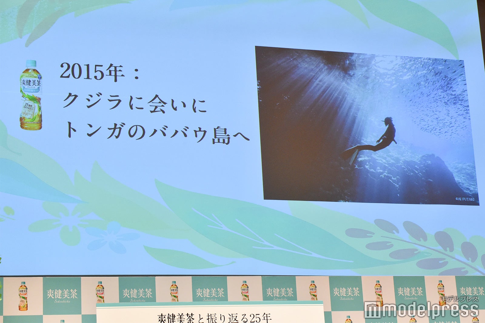 過去の写真／榮倉奈々 （C）モデルプレス