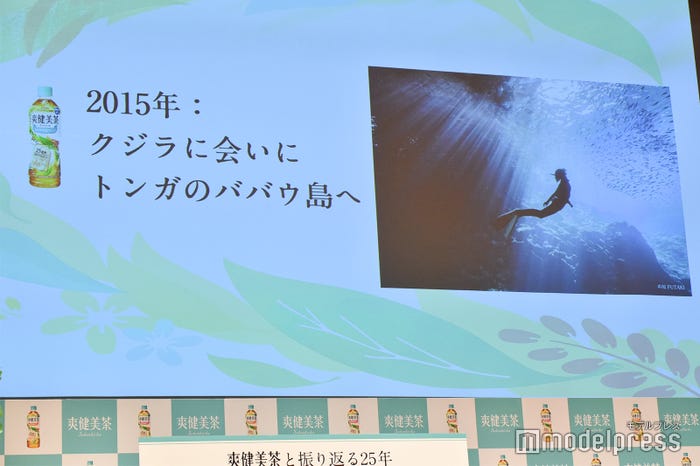 過去の写真/榮倉奈々 (C)モデルプレス