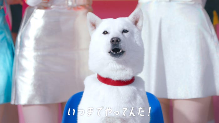 お父さん (提供写真)