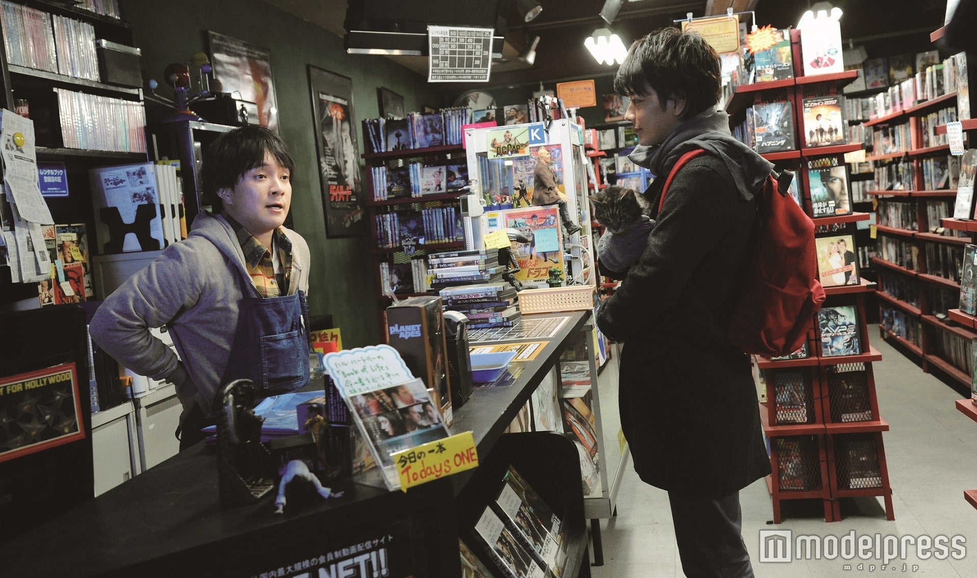 濱田岳、佐藤健（C）2016 映画『世界から猫が消えたなら』製作委員会