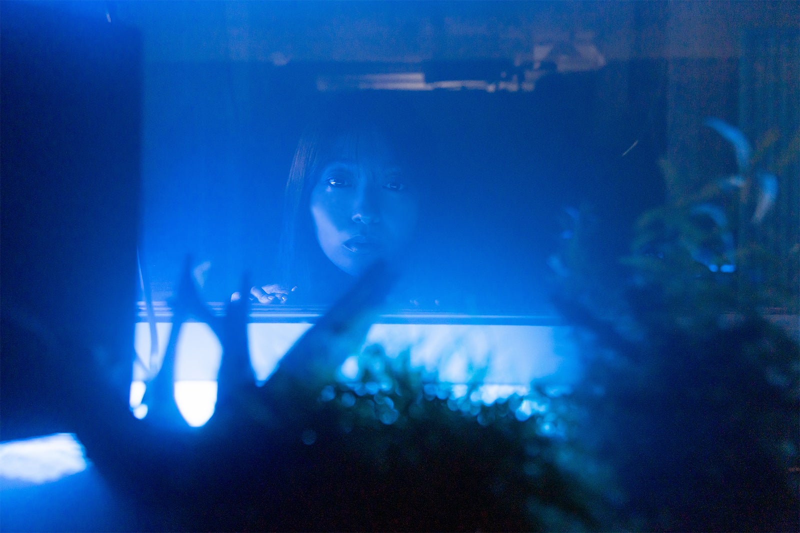 「海老だって鯛が釣りたい」第1話（C）中京テレビ