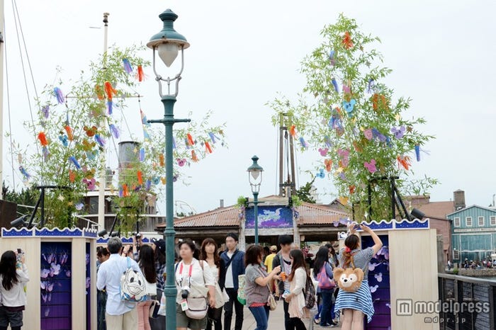 ウィッシングプレイス(TDS)