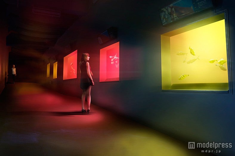 「呼応する小さな海／Small Resonating Sea」／画像提供：新江ノ島水族館