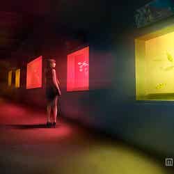 「呼応する小さな海/Small Resonating Sea」/画像提供:新江ノ島水族館