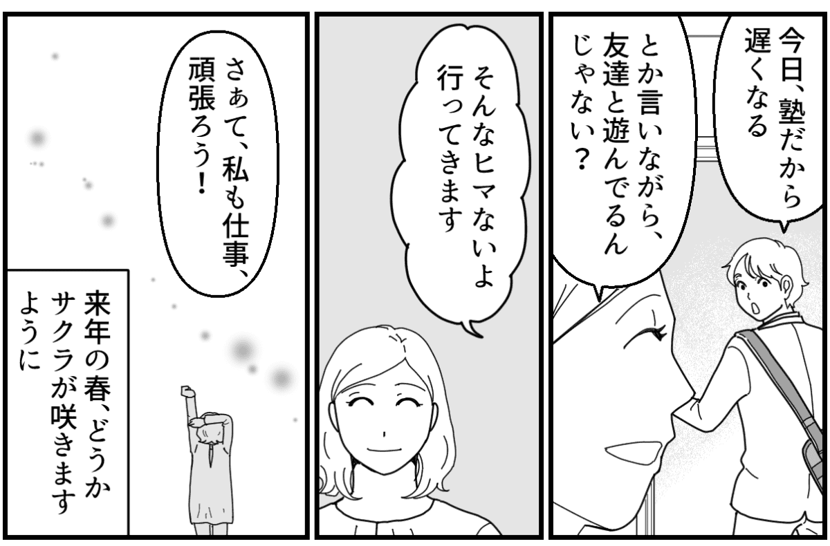 4_3_3