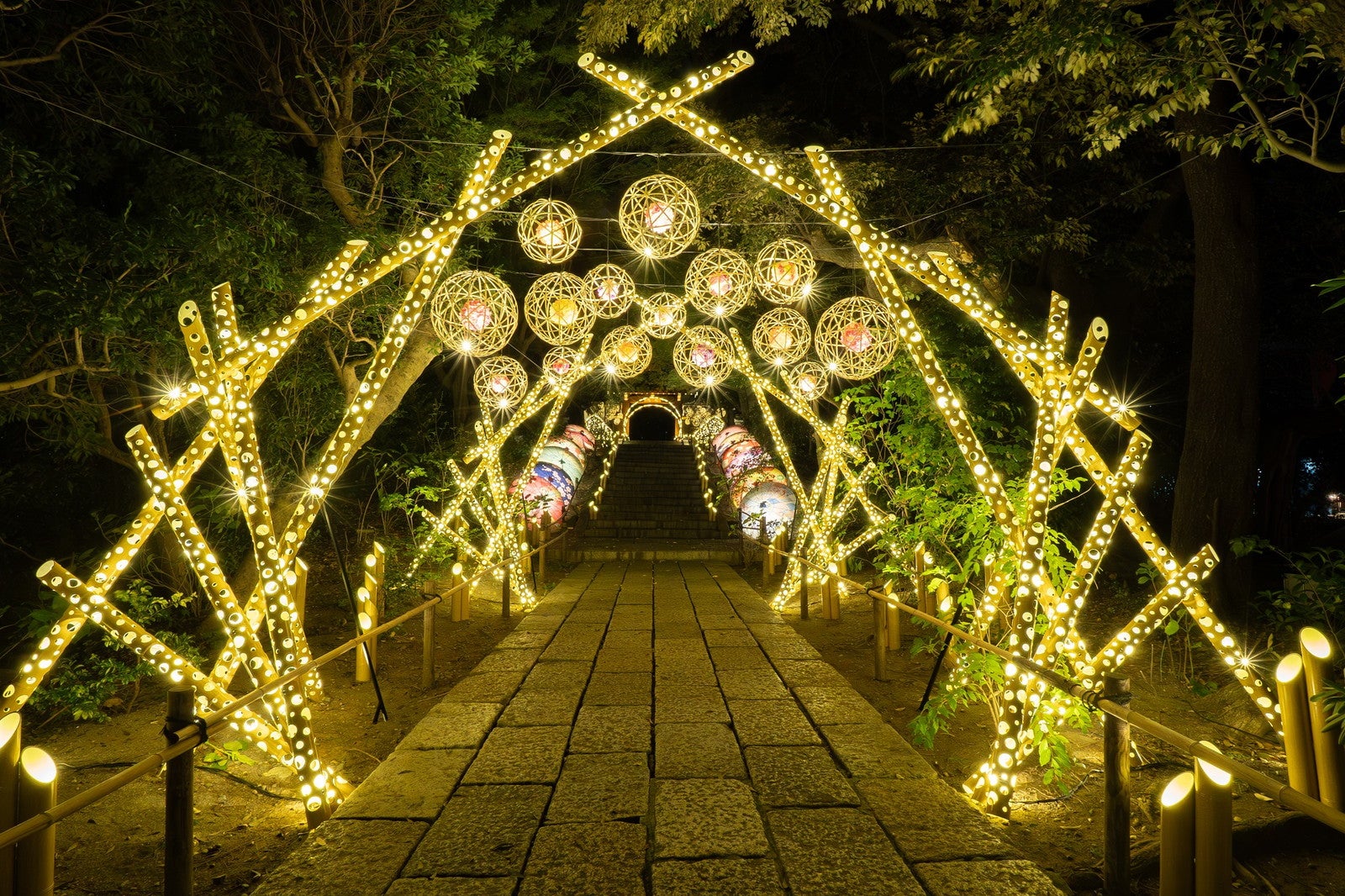 HANAあかり／提供画像