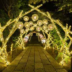 HANAあかり/提供画像