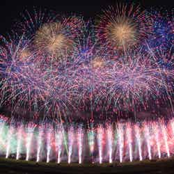 コンセプトは「EDOMODE(江戸モード)」/画像提供:東京花火大祭制作委員会