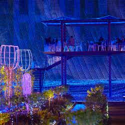 /画像提供:ハウステンボス