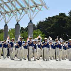 国営ひたち海浜公園/提供画像