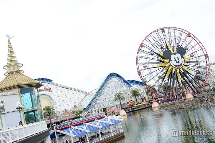 「ミッキーのファンウィール」