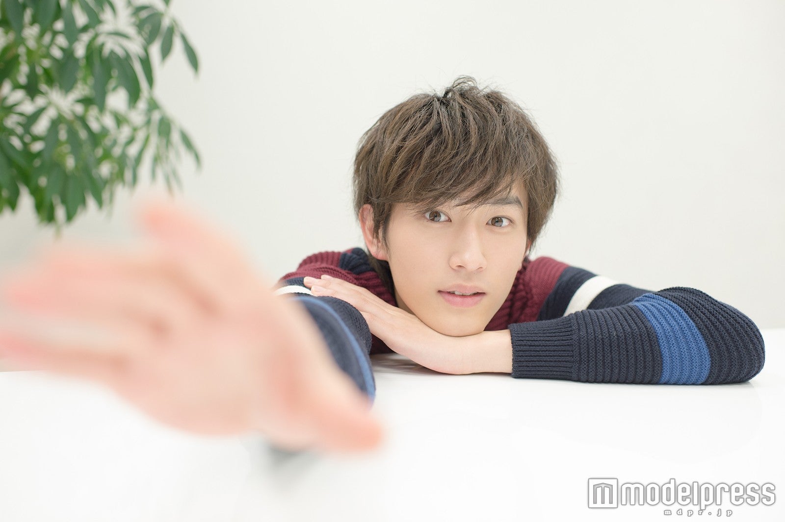 杉野遥亮（C）モデルプレス