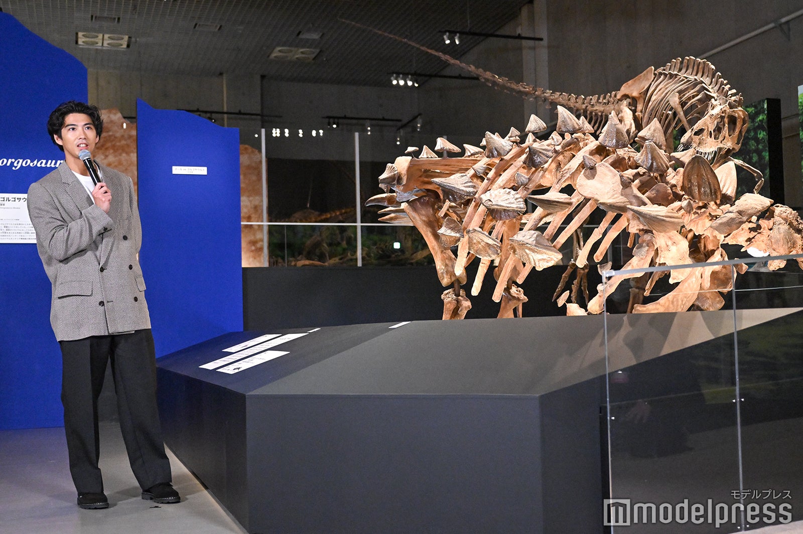 賀来賢人（C）モデルプレス