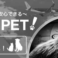 FLY WITH PET！／画像提供：スターフライヤー