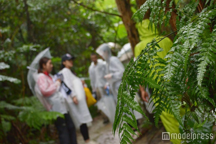 悪天候で一時中断も…(C)モデルプレス