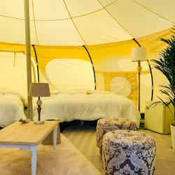 LOTUS NIGHT/画像提供:ブッキングリゾート