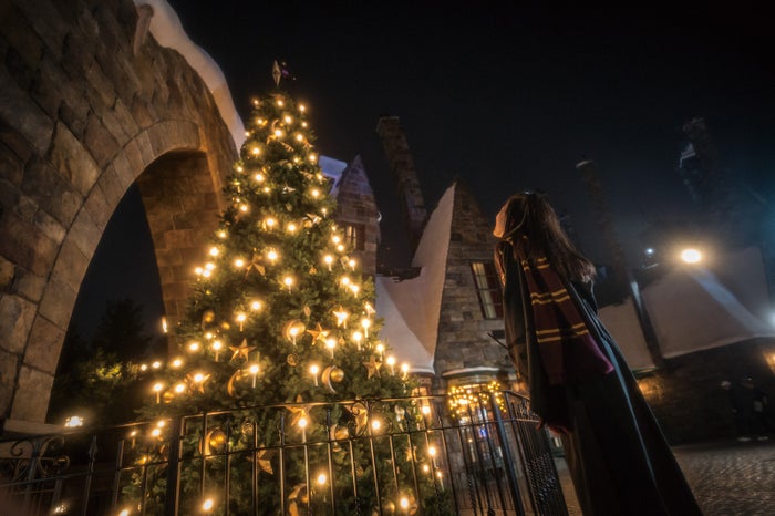 ホグズミード村のクリスマス・ツリー ／HARRY POTTER characters, names and related indicia are （C）＆ TM Warner Bros. Entertainment Inc. Harry Potter Publishing Rights（C）JKR. (s19)