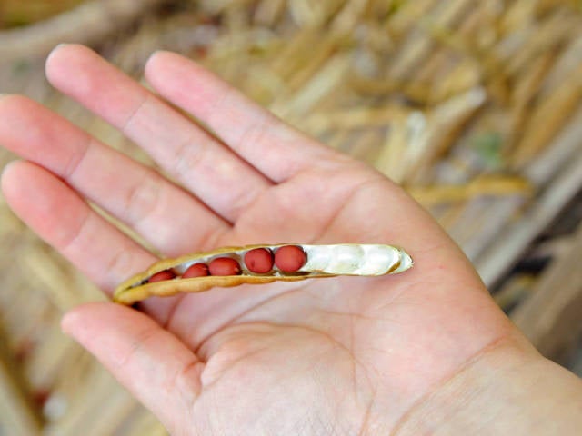 column_6a11739fb8b5b6417437575301997481.