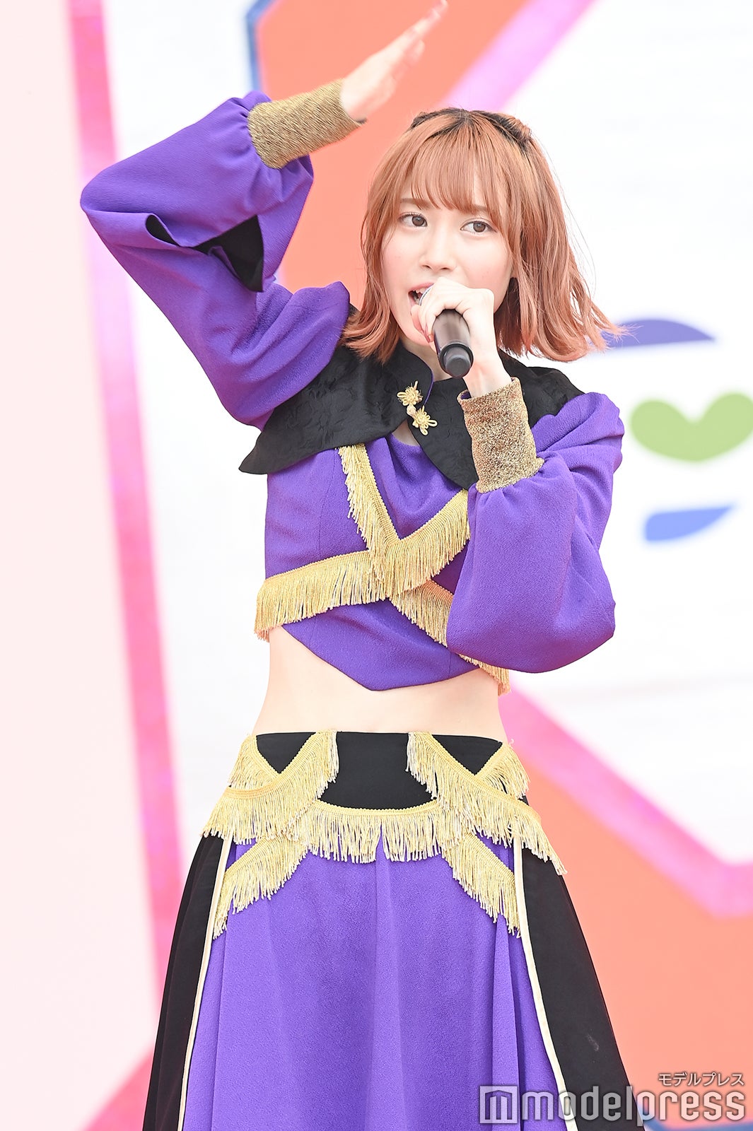 豆柴の大群（C）モデルプレス