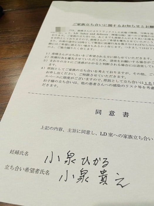 だいたひかるの夫 立ち会い出産で設けられた条件 体調万全にしておかないと モデルプレス