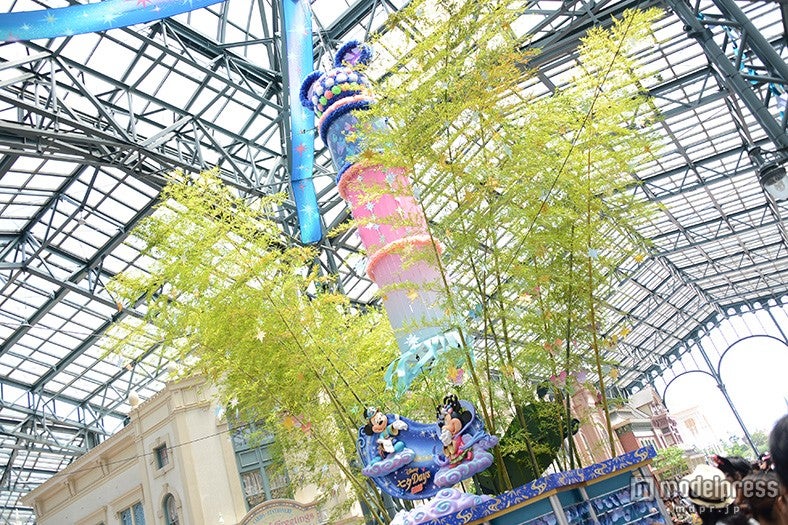 ディズニーランド、ウィッシングプレイス