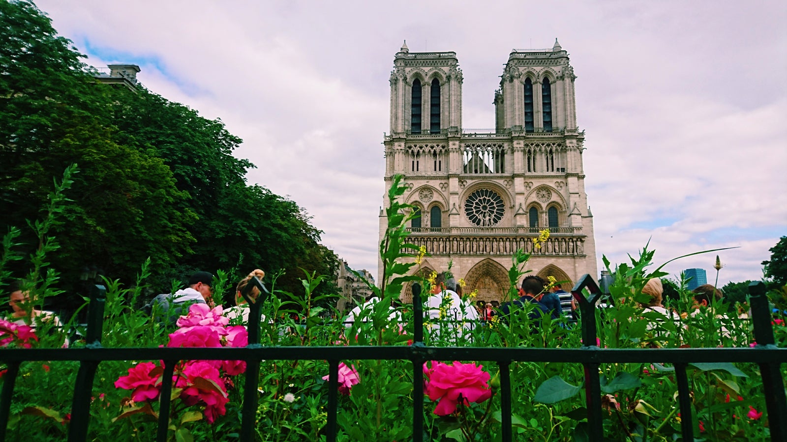 ノートルダム大聖堂／画像提供：所属事務所