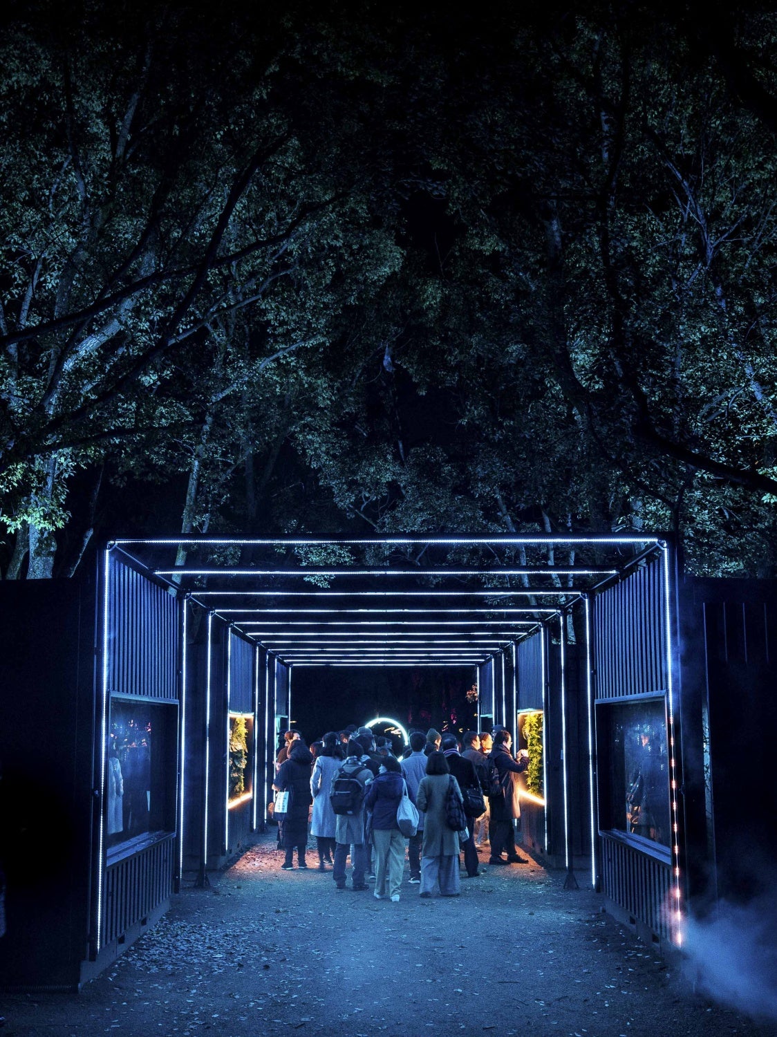 サクヤルミナ（C）SAKUYA LUMINA