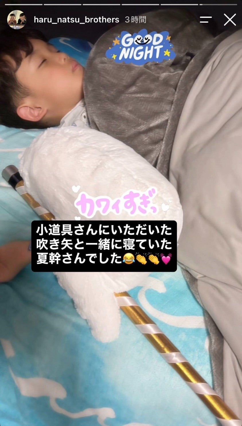 中村陽喜・中村夏幹Instagramストーリーズより