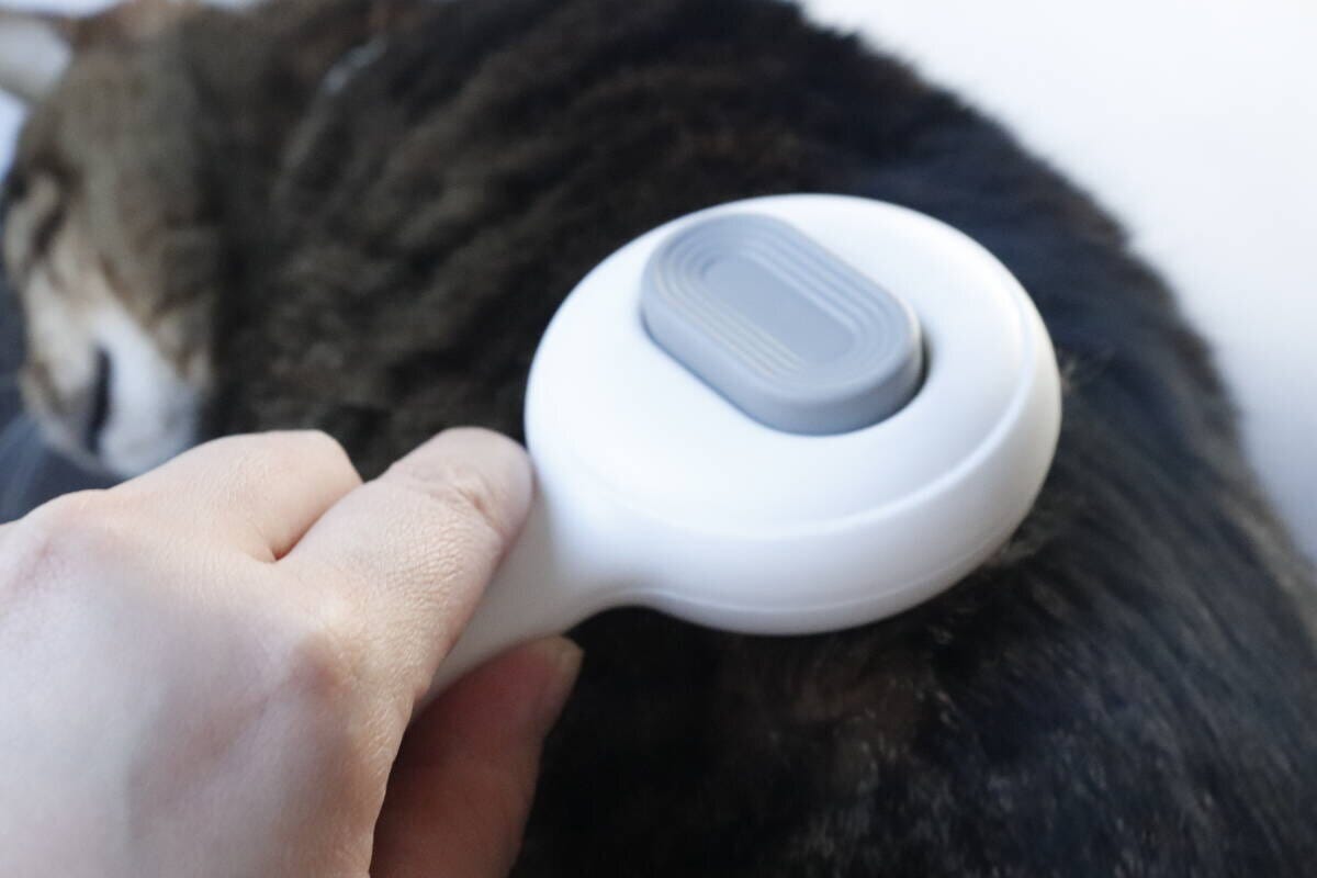 ダイソーのペット用プッシュブラシの使用例