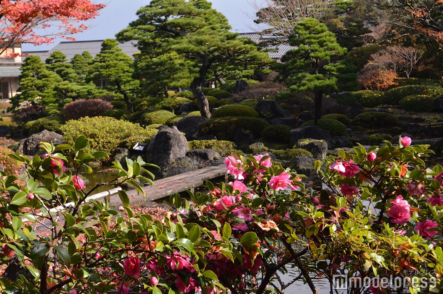 （C）モデルプレス