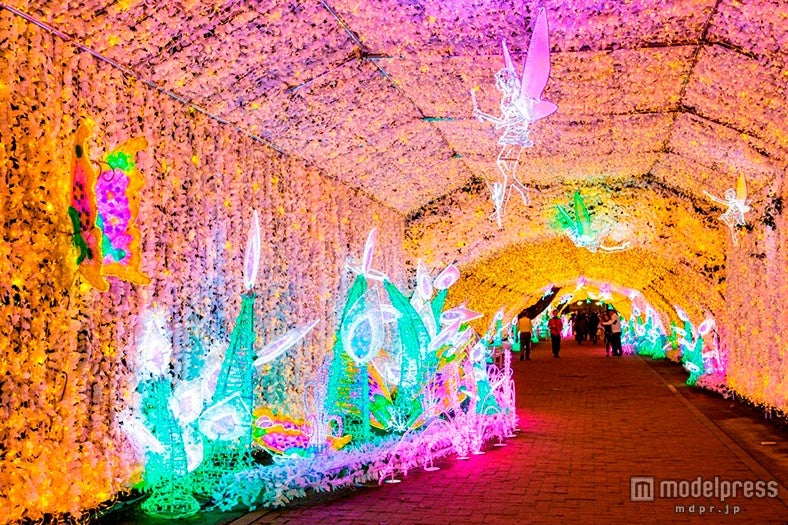LED520万球が放つ圧巻の輝き 60万人を魅了したイルミに光の花が溢れる