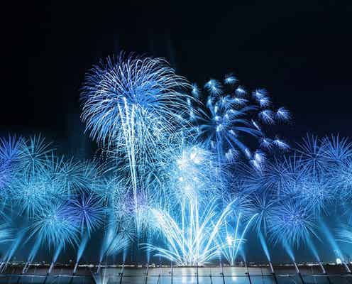 大阪「泉州夢花火」2021年8月開催へ、東西花火やスターマイン打ち上げ