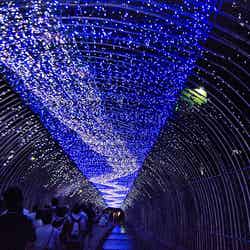 今しか見られない「京の七夕」/photo by Kyoto-Picture