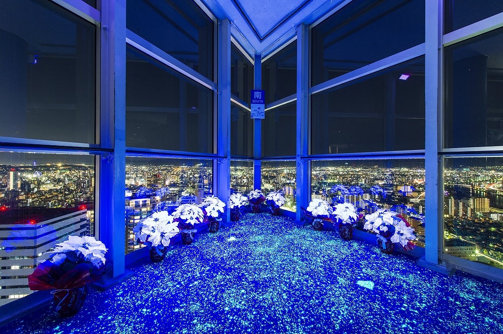 夜景×イルミでブルーに染まる幻想空間、クリスマスの福岡がロマンティックすぎる／画像提供：福岡タワー