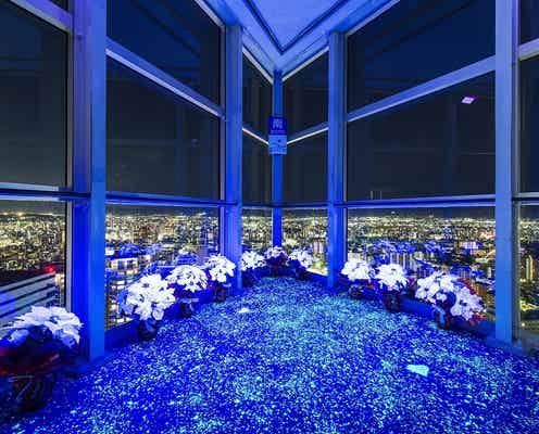 夜景×イルミでブルーに染まる幻想空間、クリスマスの福岡が光のまちに