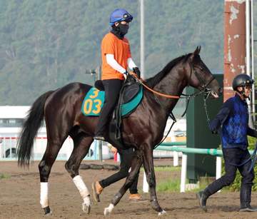 【新馬戦】アトミックリーチ 25年セレクトセール2億8000万円での取引馬が本領発揮 宮田師「いいものを持っている」