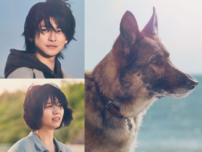 「少年と犬」メインビジュアル(C)2025 映画「少年と犬」製作委員会