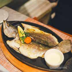 アナンタラ・ディグ・モルディブ・リゾート(C)モデルプレス