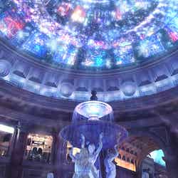 ヴィーナスフォー/画像提供:イルミネーションアイランドお台場2017実行委員会