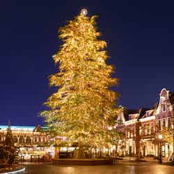 高さ17m以上もの生木のクリスマスツリーも必見／画像提供：ハウステンボス