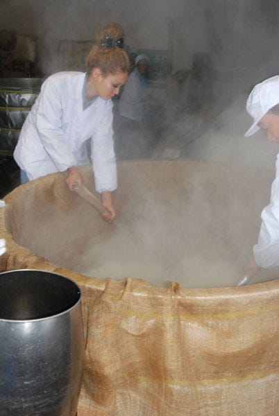 日本酒造りに奮闘する今泉宏美