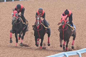 【京成杯AH】エコロブルーム 加藤征師も納得の最終追い 「言うことなし」コース、斤量考慮も太鼓判