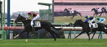 【新馬戦】プラウディッツ 末脚切れた！初陣飾る 田中博師は将来性高く評価「クラシックを目指せる器」