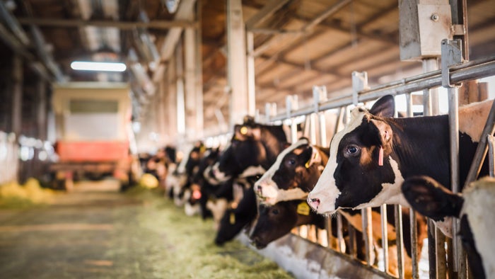 台湾発タピオカスタンド「ミルクシャ」／画像提供：MILKSHOP JAPAN株式会社