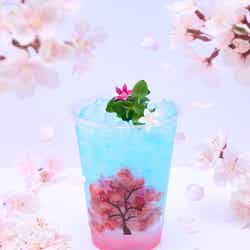 桜宙(さくらそら)-MANKAI-(980円)(C)TOKYO-SKYTREE