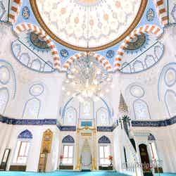 東京ジャーミイ・トルコ文化センター(C)モデルプレス