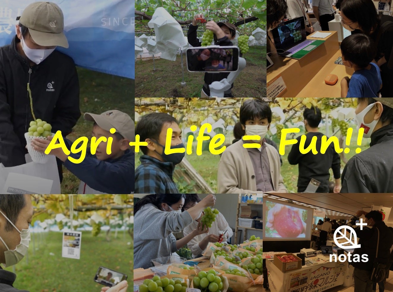 ノウタス株式会社（提供写真）