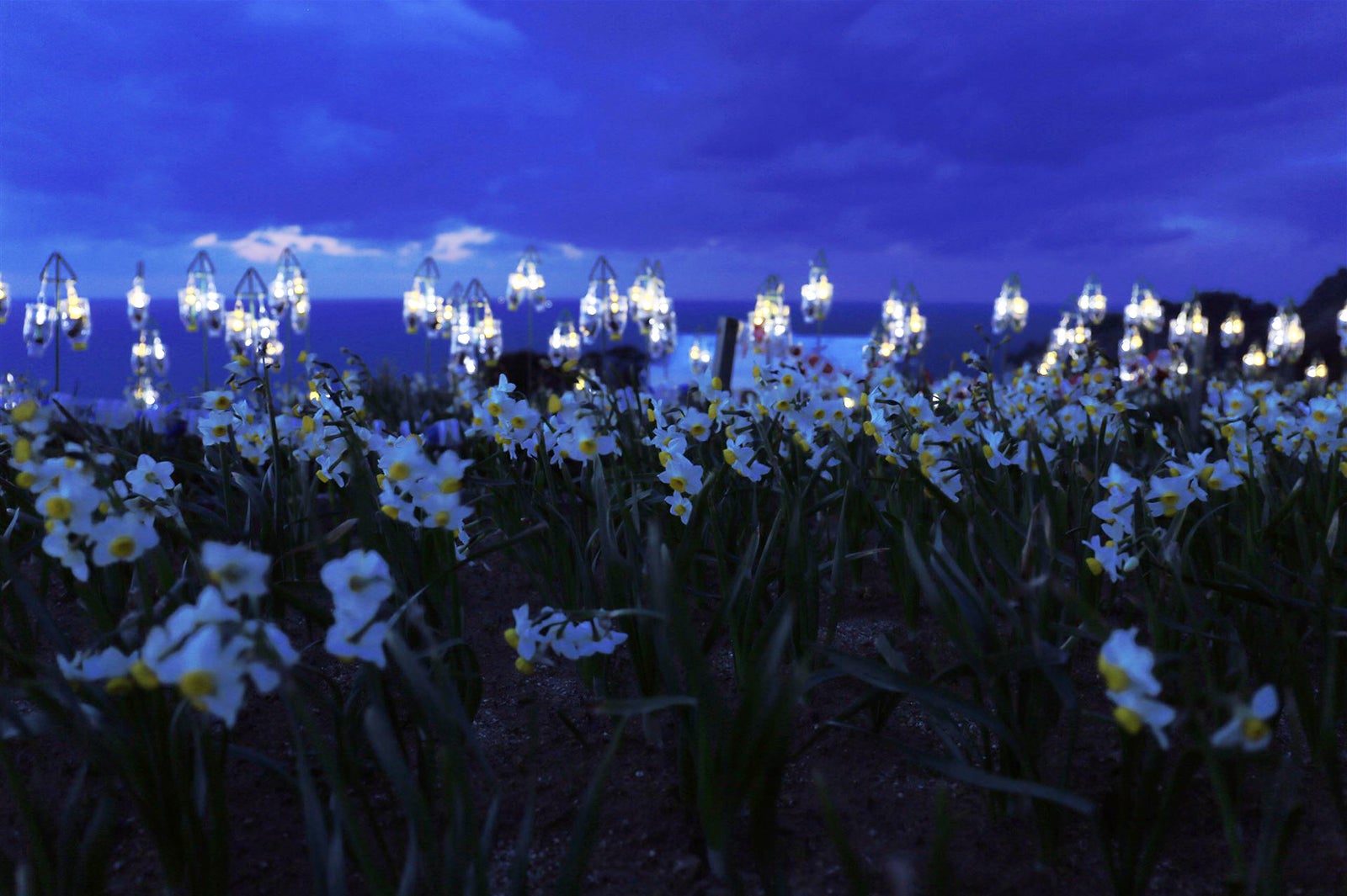 画像提供：越前町観光連盟