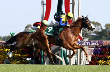 【ファルコンS】1番人気ダイヤモンドノットが重賞2勝目 福永師＆川田のタッグで初のJRA重賞V 川田「次のためにもレースで伝えながら。本番につながれば」